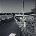Erdmann / Marguet - Three Roads Home