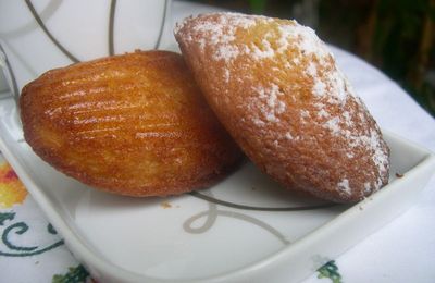 Madeleines : 4 recettes testées (Lenôtre, Sophie Dudemaine, traditionnelle, Pierre Hermé)