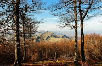 Automne à Iraty