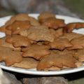 Biscuits aux épices de Noël sans gluten ni produits laitiers