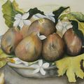 La saison des figues