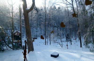 De neige et de glace (2)