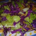 salade de chou rouge et carottes