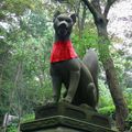 Les toriis du sanctuaire de Fushimi Inari