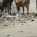 Non !, les rues de St Rambert ne sont pas encore