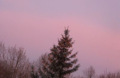 L’aube mauve a volé ce tout dernier regard Et