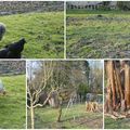 Dans le jardin