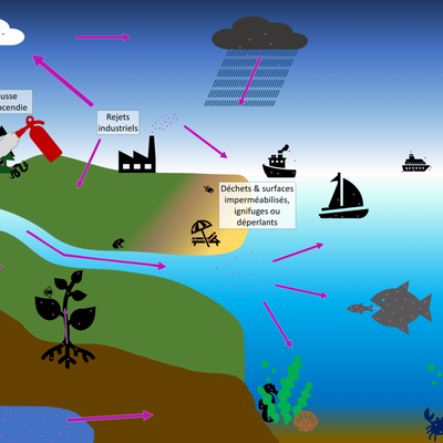 CONTAMINATIONS / MER - OCÉAN ...!