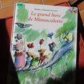 En vrac, avec un Délice des fées au chocolat (comme dans 💝 "Le grand livre de Minusculette")