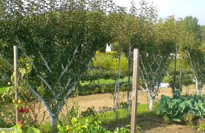 Le Pense-jardin des travaux à faire en septembre