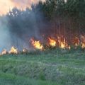 Feu de forêt
