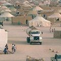Sahara : 58 Sahraouis des camps de Tindouf rallient la mère-patrie 