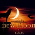 New Moon : chapitre 2 tentation 