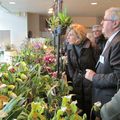 Evelyne Dhéliat: exposition d'orchidées à Chantilly vendredi 27/11/15 vers 11H00.
