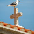 La croix de la mouette.