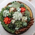 Exquises Succulentes, Cuisiner et manger des plantes grasses