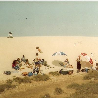 Souvenirs d'Afrique : Un îlot enchanteur... mais un piège qui tourne presqu'au drame !