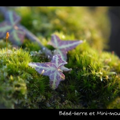 Quand on commence à jouer avec la macro.......