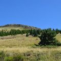 [Auvergne] jusqu'en haut du Puy de Chambourguet