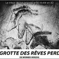 Film sur la grotte Chauvet (Ardèche)