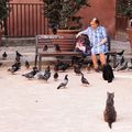 La dame aux pigeons