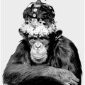 Albert Watson, Monkey Series