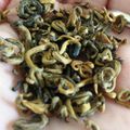 Test de thé #60 : Jin Die (bio) chinois de Camellia Sinensis