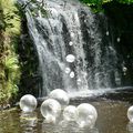 Les bulles du bois de Chaux 