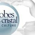 Globes de cristal 2017 - Palmarès