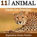 EXPOSITION ART ANIMAL OZOIR-LA-FERRIÈRE / Du 3 au 11 février 2018