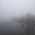 Ile de Loire et brouillard