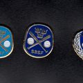 baseball federation from Sweden baseball pins