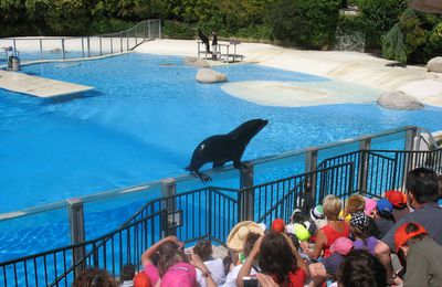 ZooParc de Beauval