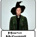 Cours de Métamorphose par le professeur McGonagall