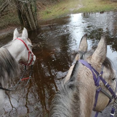 Luduenn : sortie 6 ans version "Gazon Maudit" !