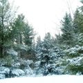 Mon beau Québec sous la neige