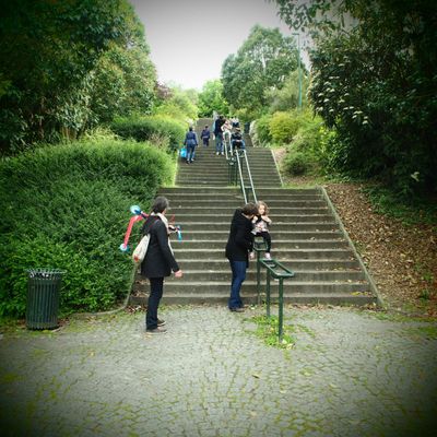 Un brin de Normandie en vrac