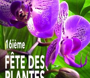 Fete des plantes à Calmont