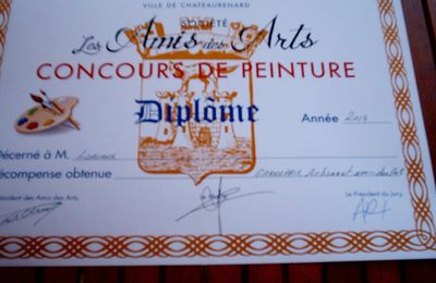 diplôme " 1 prix d'artisanat d'art"