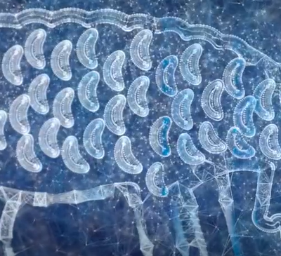 Horoscope de la semaine : ta vidéo exclusive sur Veedz