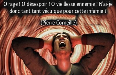 O RAGE O DESESPOIR...