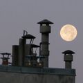 La Lune et les Champignons