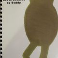 Mon premier livre: Les aventures de Teddy