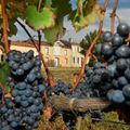 Dégustation en Médoc