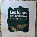 les loups de Chabrières et Bergamote