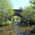 petit pont a saint jacque des blats