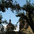 St Antoine l'Abbaye dans ses couleurs d'automne