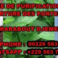 BAIN MAGIQUE DE PURIFICATION, DÉBLOCAGE ET OUVERTURE DES PORTES FERMÉE, MARABOUT DJEMEY 00229 563 71 745
