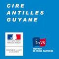 Surveillance de la dengue en Guadeloupe. Point épidémiologique au 11 mars 2010 - N°8