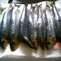 Tajine de sardines